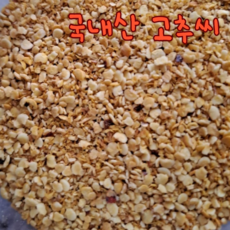 대용량 고추씨 매운맛 대량고추씨 국산고추씨 고추씨분말 매운김장청양고추씨 청량 김장 매운 햇고추씨, 1개, 1kg