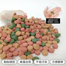 觀賞魚貼片飼料 小型魚適用, 買10送2