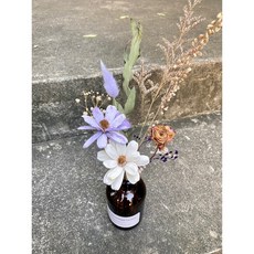 BLUE MOUNTAINS CACTUS 乾燥擴香索拉花束, 幽雅霧紫,都不加
