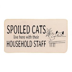 ETYZE Welcome Mat 실내 입구 현관 재미있는 버릇없는 고양이 장식 욕실 주방 매트 여성 애호가 엄마를 위한 선물 76.2 x 40.6cm(30 16인치), ETYZE Welcome Mat 실내 입구 현관 재미있, 1개