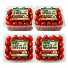 [농협선별] 초고당도 스테비아 대추방울토마토 특품, 1박스, 스테비아 방울토마토 2kg