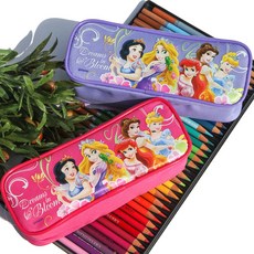 디즈니 프린세스2 파우치 필통 캐릭터필통 천필통 패브릭필통, 퍼플