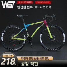 그래블 자전거 브레이크 장착 가변속도 경량 로드 싸이클, 24단 60날 레인보우, 기본 모델명/품번