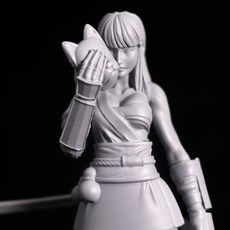 쿠노이치 1/20 Fatima(GIRLS IN ACTION 레진피규어)