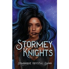 (영문도서) Stormey Knights Paperback, Write and Vibe, English, 9781953430137