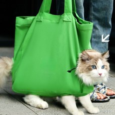 고양이 가방 반려동물 외출 애묘 소형견 이동가방 foc+0265Dt