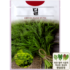 딜 Dill 허브 씨앗 200립 ks