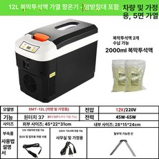 차량 미니 냉장고 음료 냉동고 차박 이동 화물차 야외, 12L 블랙 차량 가정용, 1L