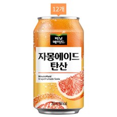 미닛메이드 자몽에이드 탄산 355ml x 12캔, 12개