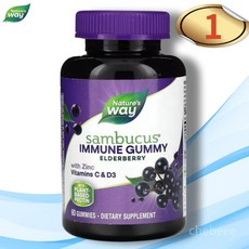 네이쳐스웨이 삼부커스 엘더베리 이뮨 구미 60개입 1병 안토시아닌 구연산 아연, 1개