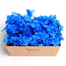 화연양화 프리저브드플라워 블루밍 케이스 수국 30색, 21 블루