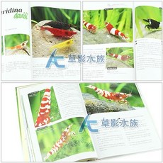 【AC草影】水晶蝦飼養指南書籍, 1個