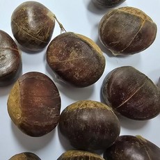 칼집 약단밤 1kg, 1개