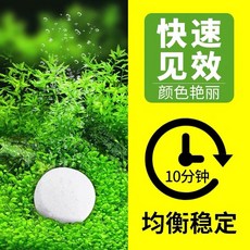 帥哥水族 水草CO2錠 (1KG/包) 約1110多顆 水草用品 co2 二氧化碳, 1個