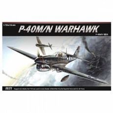 아카데미 1대72 p-40mn 워호크 프라모델 모형완구 비행기