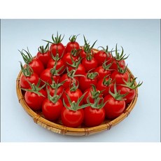 野菜部屋 L39 露露TY紅果小蕃茄種子 高產量 皮薄風味佳 紅色小番茄, 1包