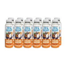 Blue Stripes 카카오 워터 전해질 항산화 물질이 함유된 냉압착 슈퍼프루트 수분 공급 설탕 첨가 없음 자연 추출물 성분 단백질 쉐이크 스무디에 카카오만 포함 24팩 26, Just Cacao