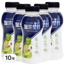 웰프로틴 녹차, 10개, 40g