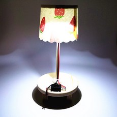 臺灣熱銷 博燃科敎木質益智科敎玩具diy小製作材料包兒童手工模型科學玩具, 圓底檯燈材料包, 1個