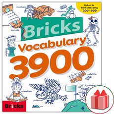 Bricks Vocabulary 브릭스 보케뷸러리 3900