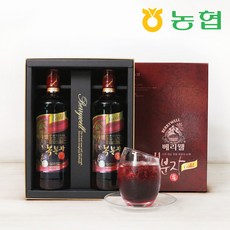 고창 복분자 순액 선물세트 1호, 700ml, 2개