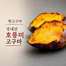 2026 첫수확 햇 호풍미 고구마 호박고구마 산지직송, 1개, 2kg