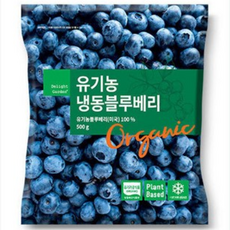 냉동유기농블루베리_미국_500g, 500g, 1개