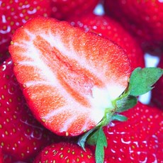 [타임특가]산지직송 논산 설향딸기 100박스 한정특가, 2세트, 실속형 1팩