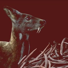 카르마카멧 Karmakamet 퍼퓸백 드레스룸 샤쉐 차량방향제 실내 20g 방향제, G. 지젤화이트 머스크 바닐라 20g