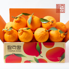 탐라왕 한라봉, 1박스, 4.5kg 중과(16~20과)