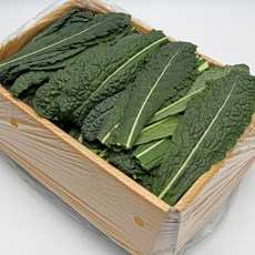 국내산 특품 뉴그린 반박스 1kg 쌈채소 샐러드야채 가락시장 당일새벽경매, 뉴그린 반박스(약 1kg), 1개