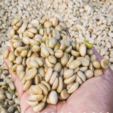 콜롬비아 수프리모 생두 500g [프리미엄 후일라] 부드럽고 균형 잡힌 풍미 결점두 핸드픽, 1개