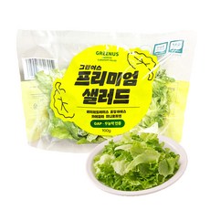그린어스샐러드 무농약 친환경 유러피안 샐러드 간편 파우치, 5개, 100g