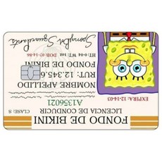 카툰 운전면허증 신용카드 스킨 패트릭 스타 스티커 패치 은행카드 무광 데칼 장식 선물, Big Chip, 1 1PCS