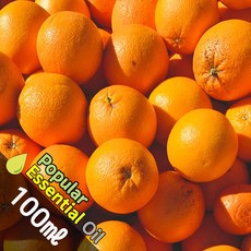 K004 오렌지 100ml (Orang Essential Oil) 천연에센셜 오일 보급형 원액 아로마, 1개
