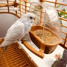 새 조류 잉꼬 앵무새 카나리아 새집 욕조 목욕통 놀이, 그린, 1개