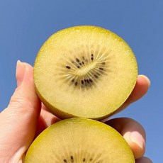 뉴질랜드 제스프리 골드키위, 대과, 20개