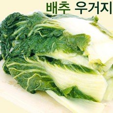 건우농산 배추우거지1kg