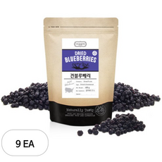 넛츠앤베리스 건블루베리, 400g, 9개