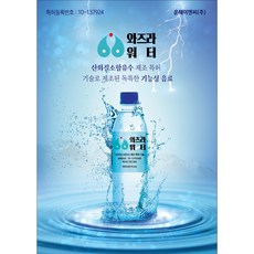 산화 질소수 와즈라워터 미네랄워터, 20개, 500ml