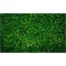 생일 파티 매끄러운 포토 부스 소품 배경 CP-87-0604를 위한 LYWYGG 6X4FT 그린 사진 미크로파이버 자연, 5X3FT