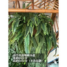 高仿真 鹿角蕨吊盆, 1個, 仿真波斯蕨(A款)吊盆一組