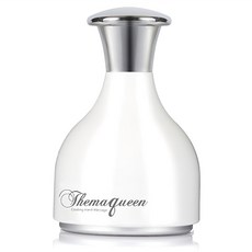 Themaqueen 臉用涼感按摩器, 混色, 1個