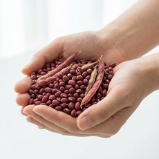 국산 토종 빨간팥 적두 1kg, 1개