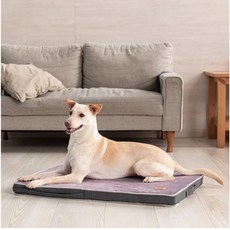 萊恩家 LIFEAPP 寵物緩壓睡墊不易沾毛替換布套 (多尺寸可選), 1個, 藍灰絨『布套』,S