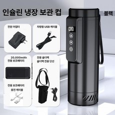 인슐린냉장고 휴대용 소형 온도표시 냉동 시약 인슐린보냉, other, 20000mAh 보조 배터리 + 크로스바디 백, 1L