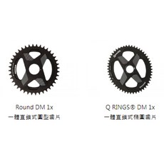 【ROTOR】Q RINGS DM 1x 一體直鎖式橢圓齒片 石頭單車, 1個, 40,圓盤