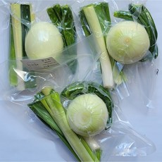 [한끼채]모둠채소 양고파3종 (양파고추대파) 창녕양파 한끼채소 진공포장, 한끼채 양고파 1팩, 1개