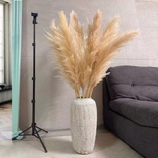 仿真蒲葦花束 進口大型擺件 居家客廳裝飾 拍照背景落地擺飾, 1個, 進口大蒲葦高1.4米1支
