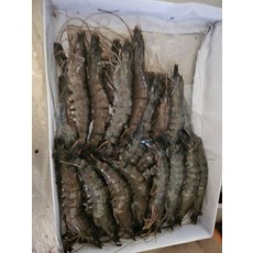 자연산 대하 얼룩새우 30미 불고기 블랙타이거새우 새우소금구이 신선도 실속형 500g 1개
